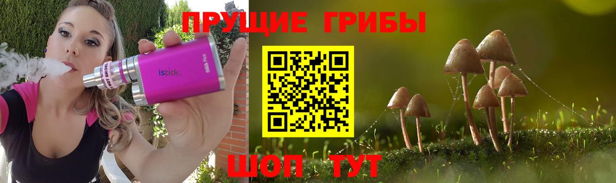 Псилоцибиновые грибы Magic Shrooms  Вход с VPN  Галлюциногенные грибы Magic Shrooms  Белгород 
