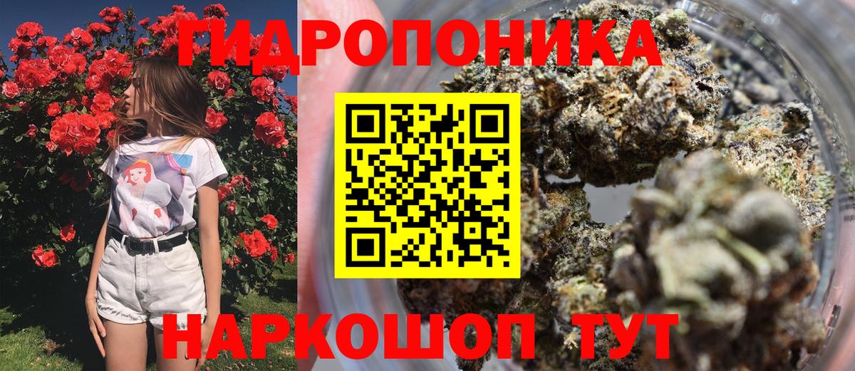 Конопля семена  Вход с VPN  Белгород  Канабис ГИДРОПОН 